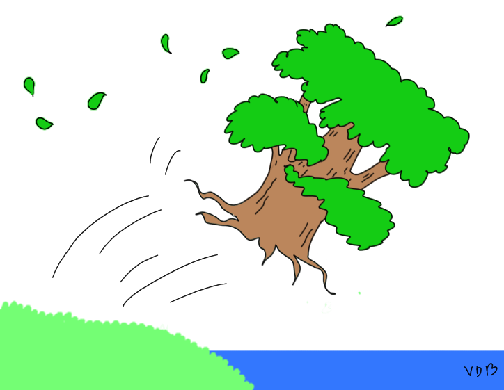 Arbre qui saute dans la mer